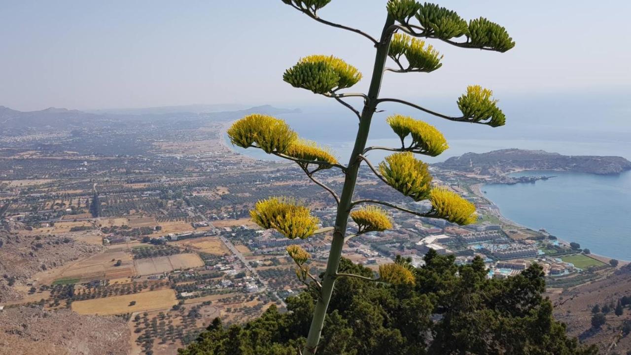 Althea Apartments Kolymbia Exteriér fotografie