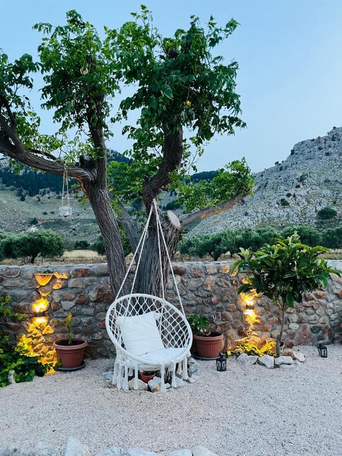 Althea Apartments Kolymbia Exteriér fotografie